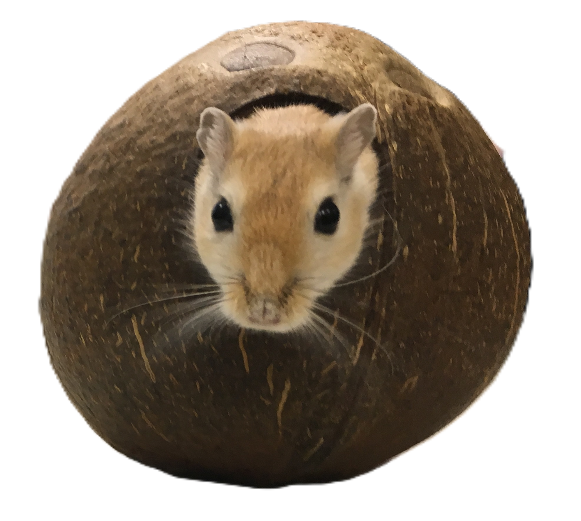 Einstiegsbild homepage